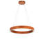 Anillo LED Pendant