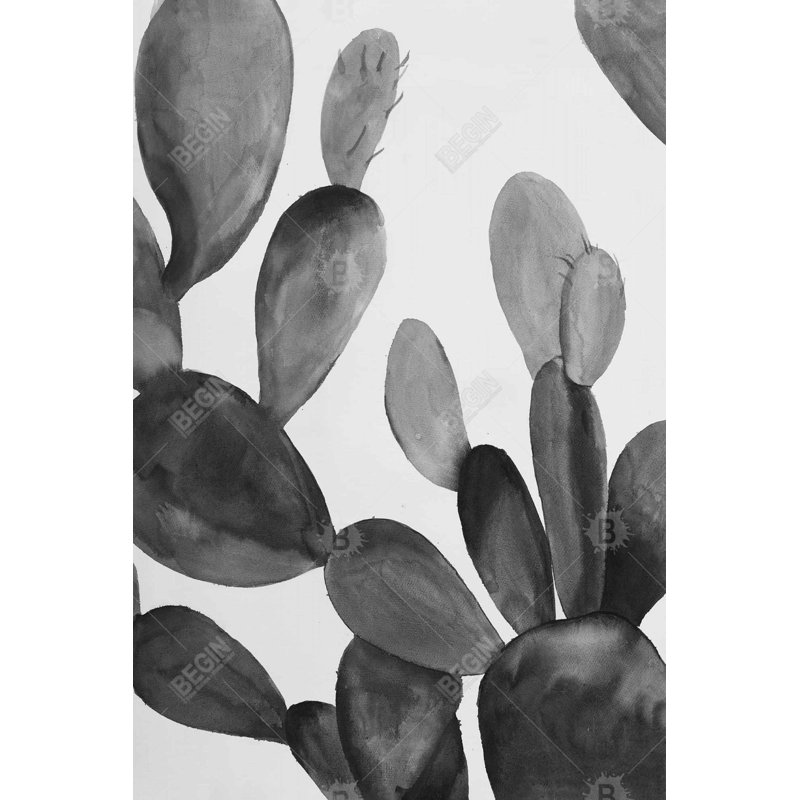 " Grayscale Cactus "