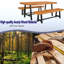 Seegmiller Iron Outdoor Bench