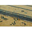 One-of-a-Kind 10’2”x14’6” Hand Knotted Area Rug