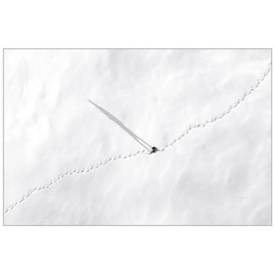 Serene Hike 1 Print by Thom Filicia