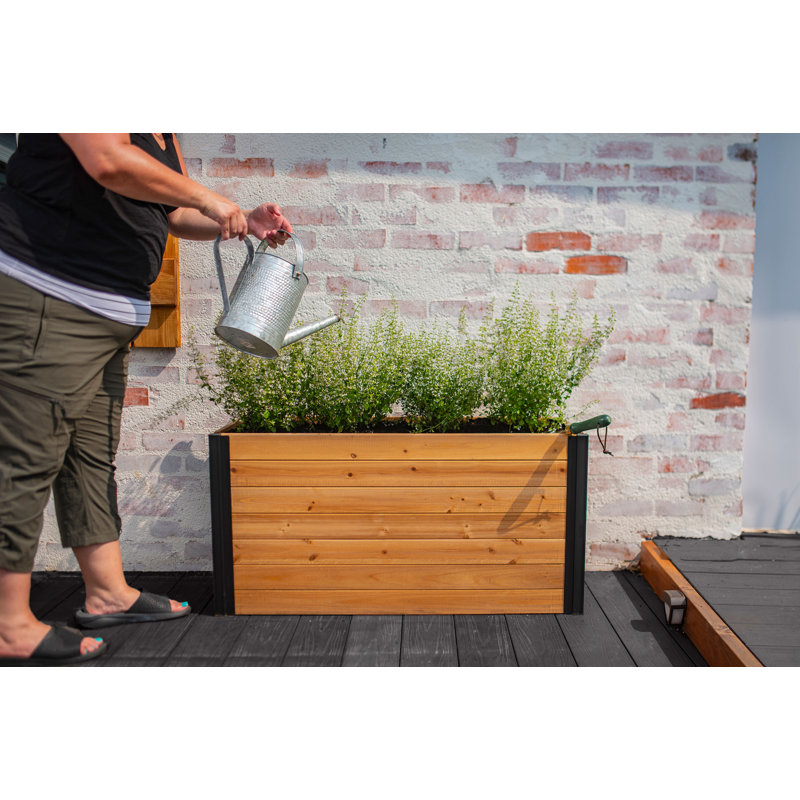 Mezza 39" Cedar Parklette Planter with Black Posts