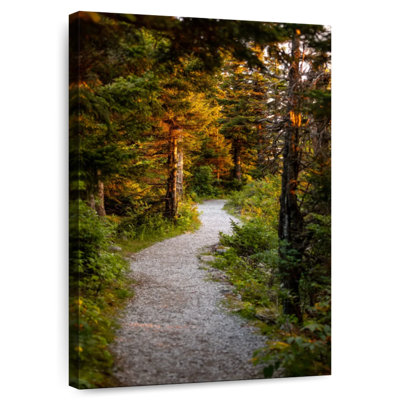 Chemin boisé Alvord