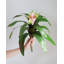 Bromélia artificiel rose de 30 cm