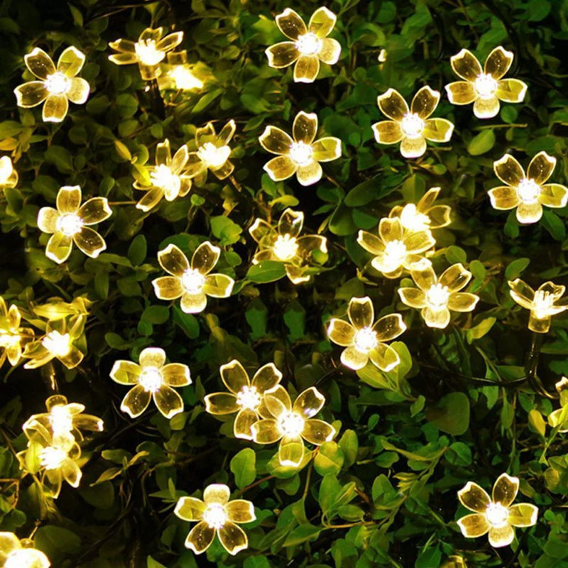 Tereza Outdoor 1 - Bulb Solar Powered LED Fairy String Light, Warm