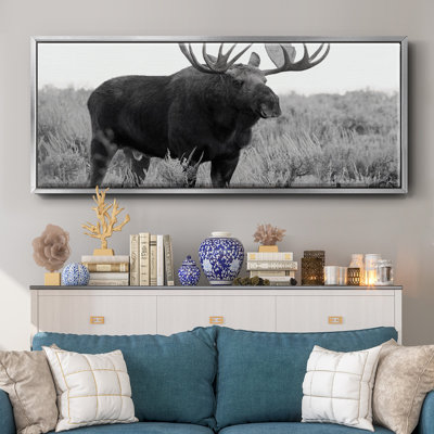 Grand Teton Bull Moose- Framed Canvas