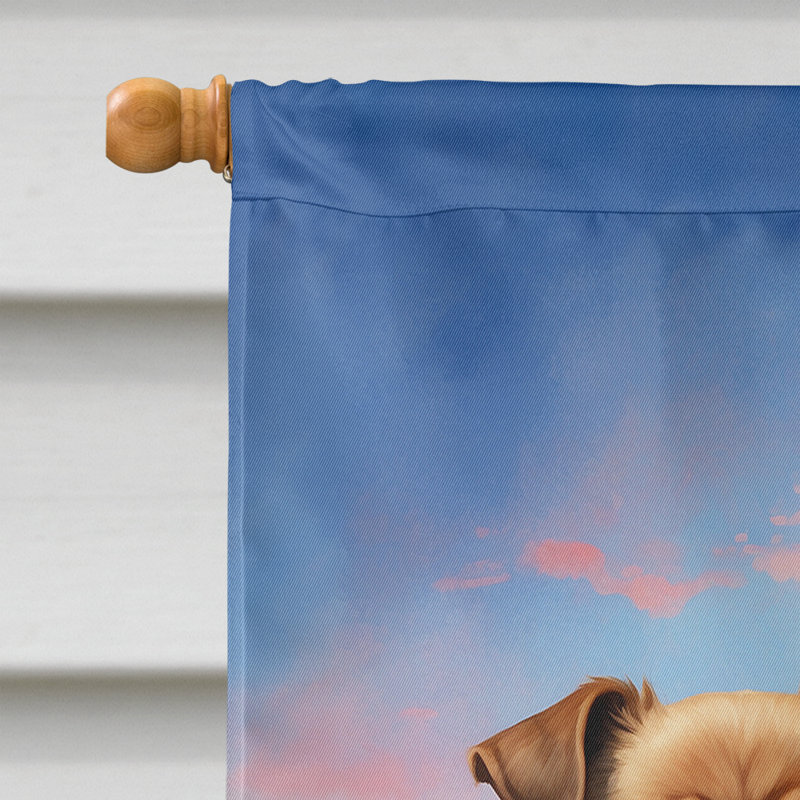 Drapeau pour chien double face H 40 po x l 28 po
