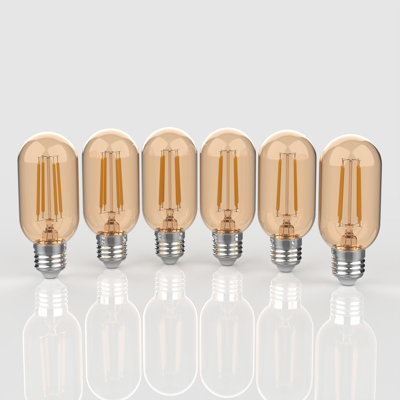 4 W, ampoule à DEL T45 à intensité variable, blanc chaud (2 700 K), culot E26 / moyenne (standard)