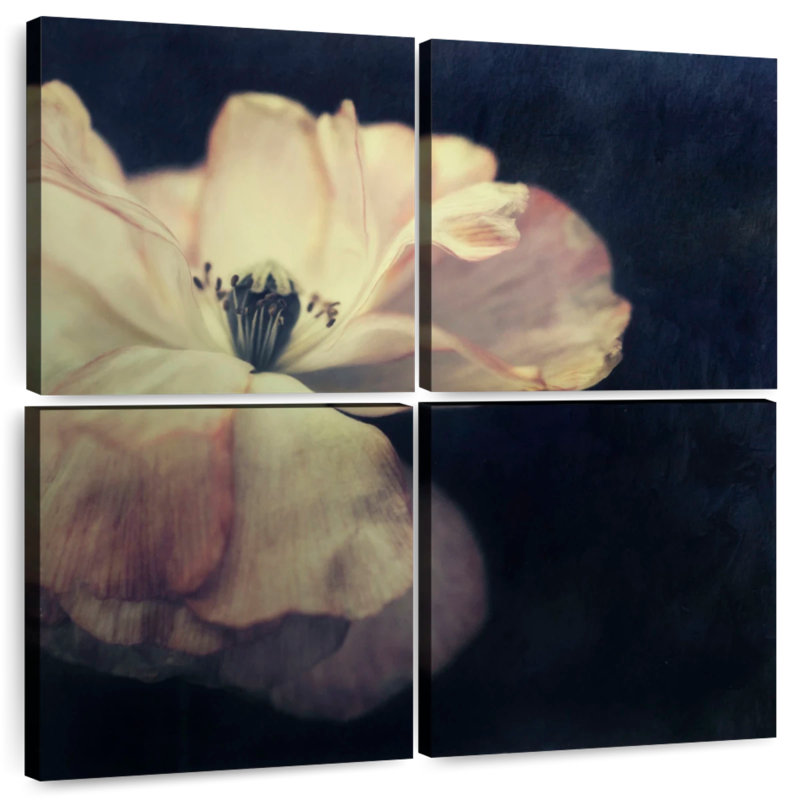 Harnek lumière dans la fleur sombre