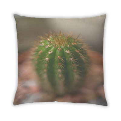 Coussin Plants Cactus 12