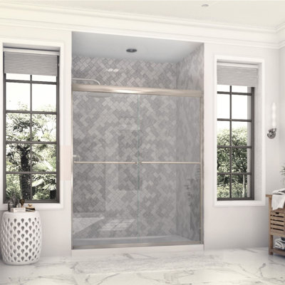 Eurolite 58 in. W x 70.5 in. H Sliding Bypass Frameless Shower Door in Brushed Nickel with 3/8 in. (10mm) Thick Clear Glass
