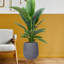 Honeycomb Style Egg Planter with Feet-99158589-57886056