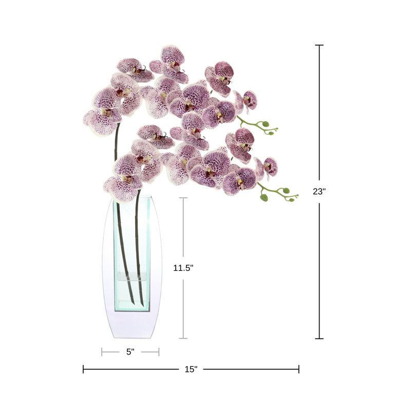 Orchids Arranged in Mirrored Glass Vase
