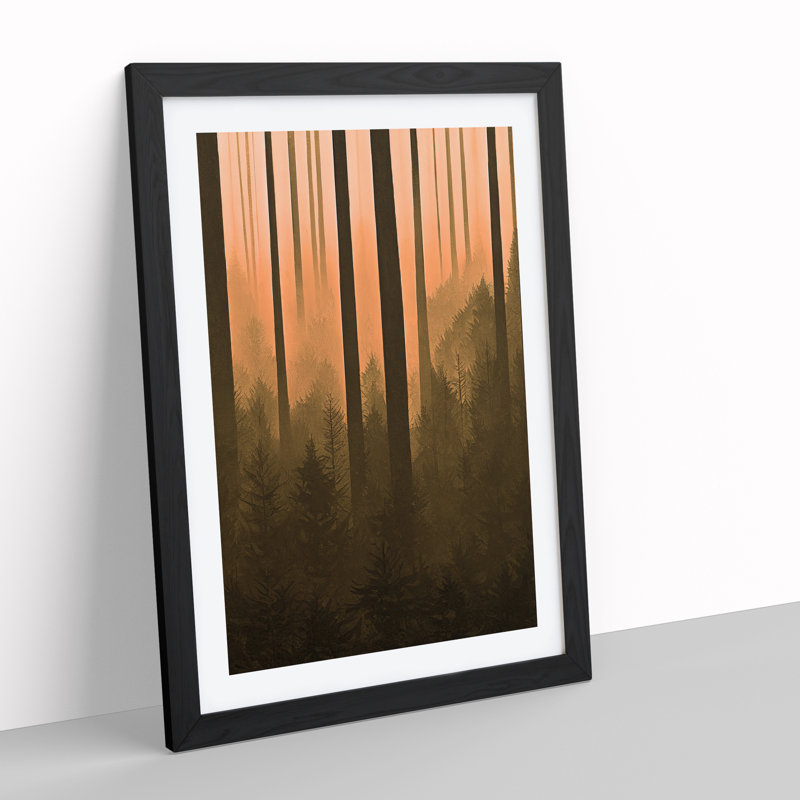 Autumnal Pine Tree Forest - Single Picture Frame Print, Black Framed, 64cm H x 46cm W x 2cm D