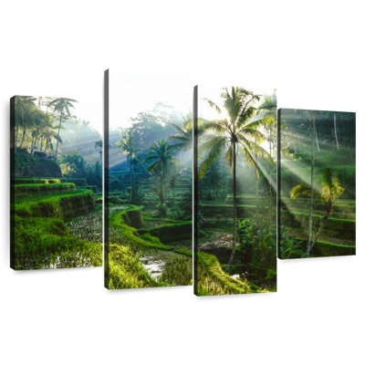 Rizières en terrasses Alvord Bali