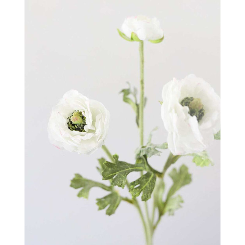 White Ranunculus 18.5"
