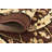 Britannia Floral Indoor Rug-28878829