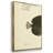" Bloch Antique Fish V " 3 - Pieces-1360002865-1360002870
