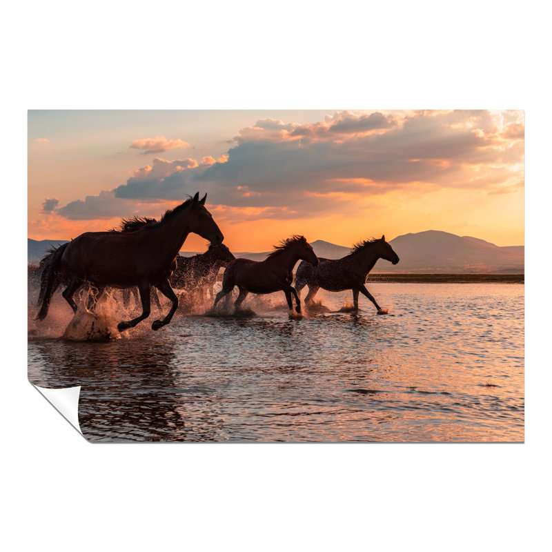 Wild Brown Horses Running In Water During Sunset - No Frame Print, 61cm H x 91cm W