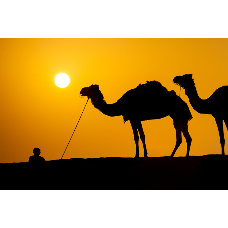 Camels In A Desert by Savoskula_maria - Wrapped Canvas Print, 30cm H x 46cm W
