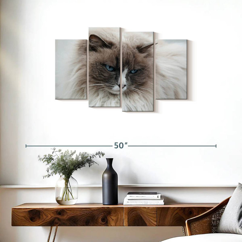 Brampt Himilayan Cat Close Up In Iceland, 22" H x 36" W