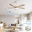 Damecia 52'' Ceiling Fan with LED Lights-1836628952