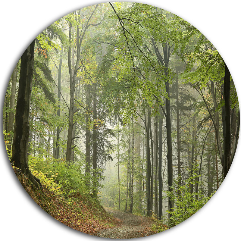 " Green Beach Forest Pathway ", 38" H x 38" W x 1" D
