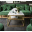 Apolonio Coffee Table with Storage Space-1673031124