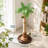  Coconut Palm Cat Tree