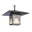 1 - Light Pendant