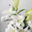 90cm Faux Flowering Plant in Pot Liner-449046062