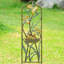 Narrow Lovebirds in Nest Trellis