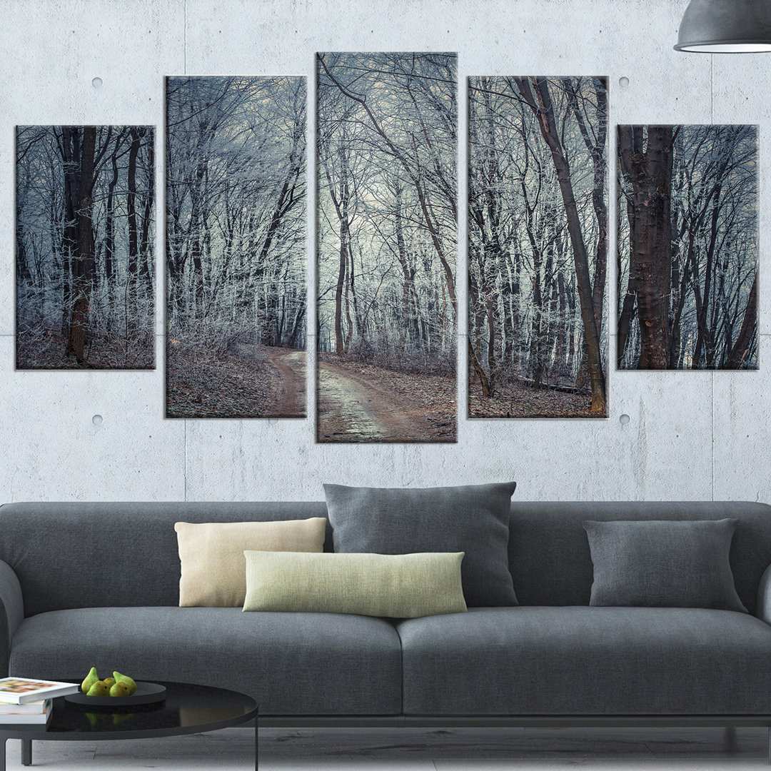 " Dense Gray Fall Forest Path " 5 - Pieces Design Art