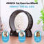Roue de 39 po pour grand chat-1762470015