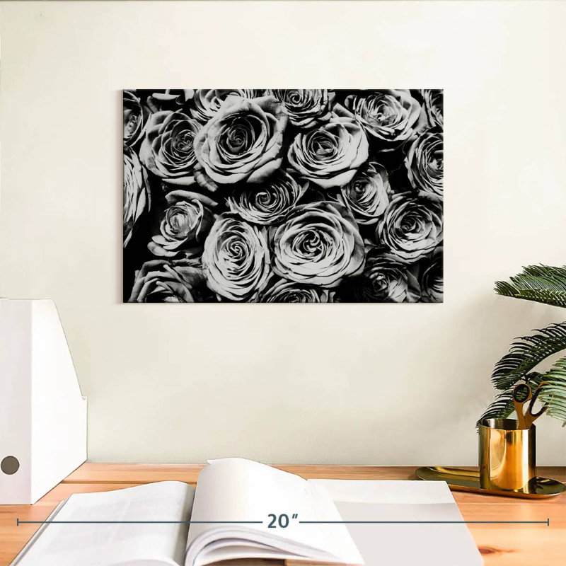 Roses monochromes Harnek, H 8 po x l 12 po