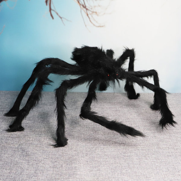 Spider Outdoor Hiking Bundle