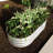 Galvanized Planter Raised Garden Beds-801747456
