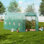 Walk-in Tunnel Greenhouse Galvanized Frame PE Cover