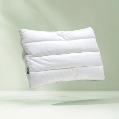 Oreiller en soie Vesta Limezen - mince, plat, 100% soie avec housse de refroidissement lavable, parfait pour les personnes qui dorment sur le dos et le ventre (2,5 po de hauteur, doux)