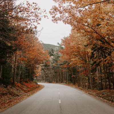 " Autumn Road " by Chelsea Kedron
