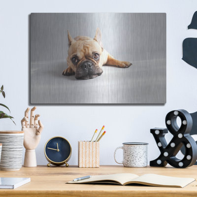 " Sad Frenchie " by Susan Sabo