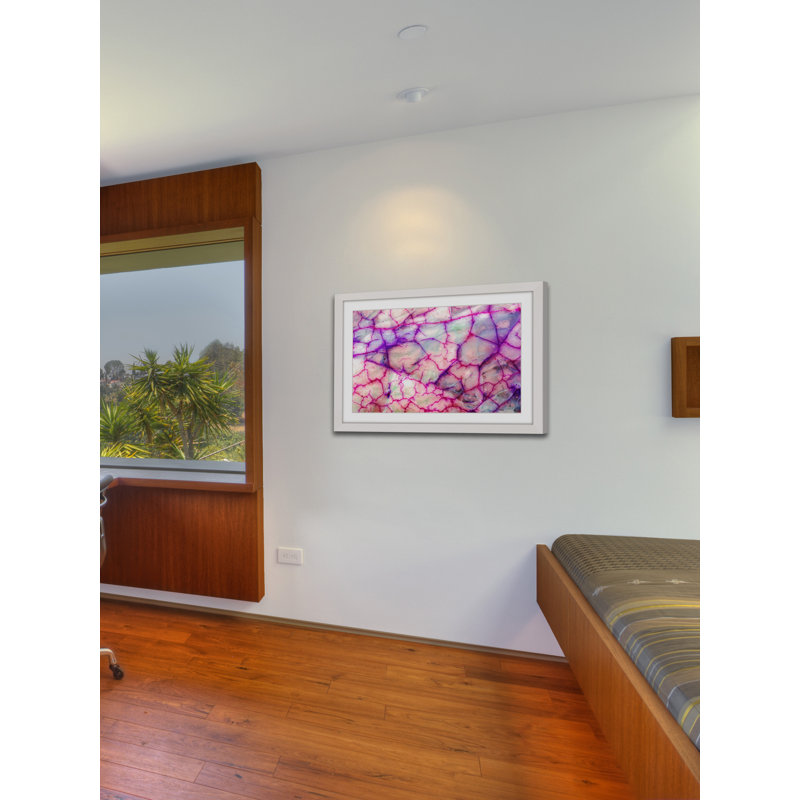 « rose nervures »-cadre photo, impression sur papier, H 24 po x l 36 po x P 1,5 po, Cadre blanc