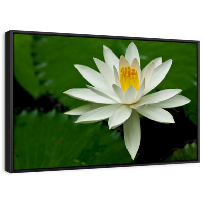 Floral And Botanical " White Lotus Flower Wall Art "