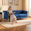 Moderne Sofafx-P81-bu2sofa-751429555-751429557
