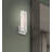 Itzayana LED Flush Mounted Sconce-348441022