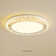 Abdul-Rehman Acrylic LED Flush Mount