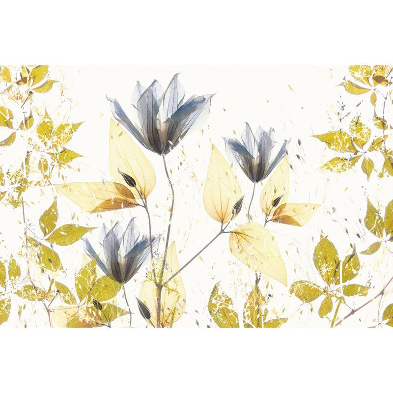 Wrapped Canvas Print, 50.8 cm H x 76.2 cm W