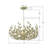 Maniteau 5 Light Champagne Green Tea Chandelier-1342464425