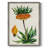 AntiqueFloralFolioVII Framed Print - Solid Wood-161783665