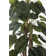 Panama 66" Artificial Scindapsus Aureus Tree in Planter